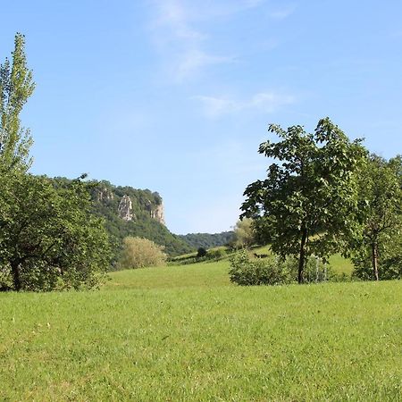 Domaine De Bellevue Gite Du Mont Poupet Marnoz Exteriér fotografie