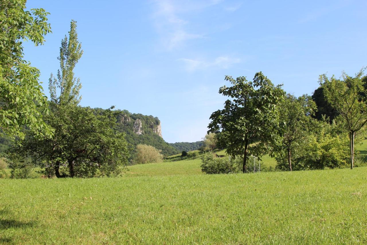 Domaine De Bellevue Gite Du Mont Poupet Marnoz Exteriér fotografie